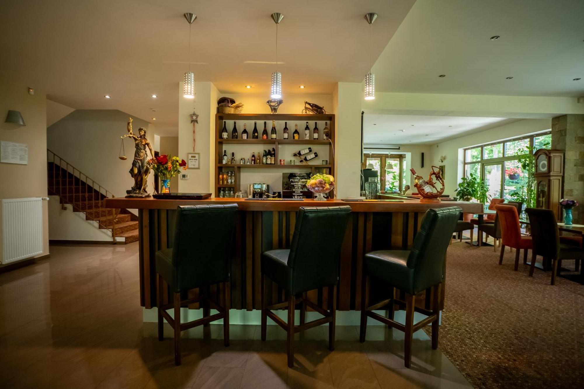 Opus Villa Sinaia Exterior foto The bar at the hotel