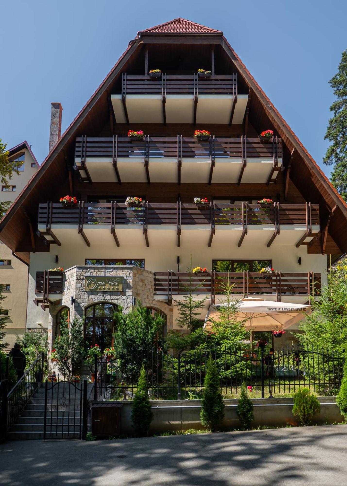 Opus Villa Sinaia Exterior foto The house of the writer in the village of Vrana